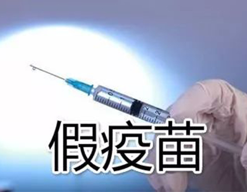 非洲豬瘟有疫苗了？假的！