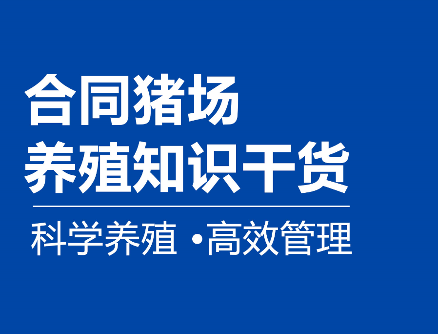 從進(jìn)場抗應(yīng)激到出欄上市：森澳達(dá)合同豬全周期成活率提升方案